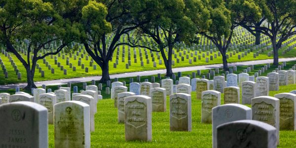 pexels-ninobur-18495412